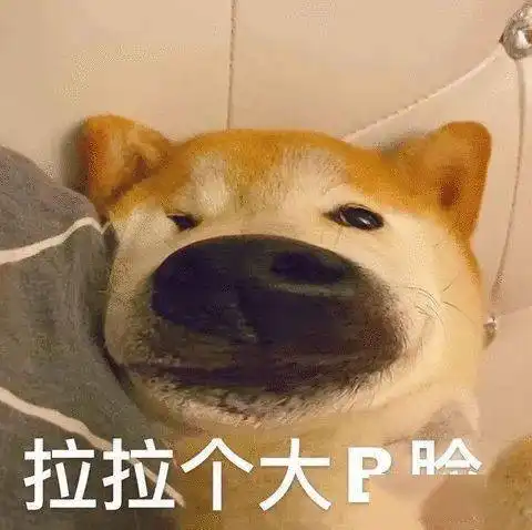 沙雕表情怪让人不好意思的
