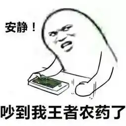 如果王者荣耀可以发表情包,这些图一定会火
