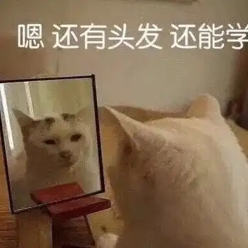 全站相册标签摄影
