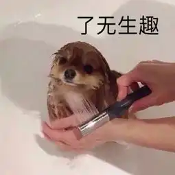 加我,送女朋友一位
