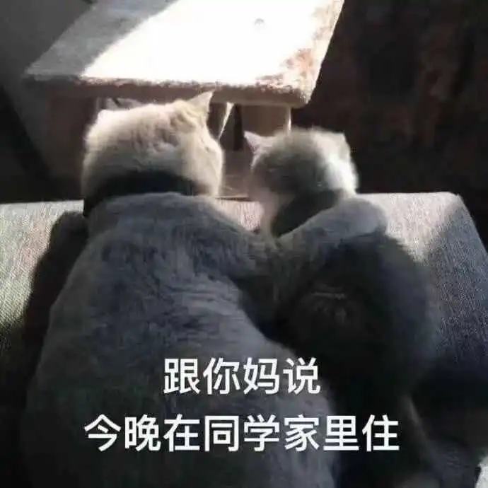 搞笑文案这都不点赞,说明你手机不行
