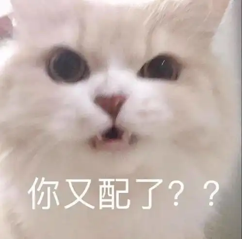 沙雕猫猫表情包
