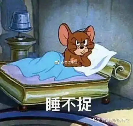 我的女兵征兵之旅
