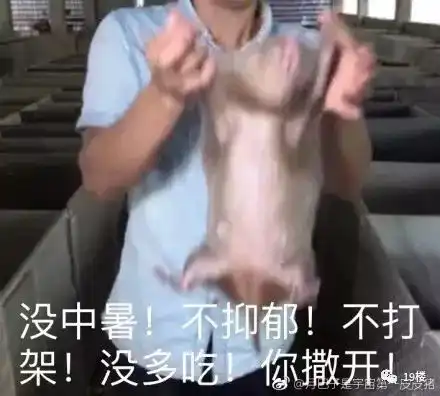 竹鼠杀手华农兄弟火了吃竹鼠的一百种理由了解一下
