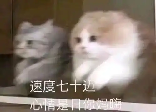 黄明昊你要听校霸的话鸭