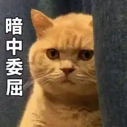 暗中观察表情包下载暗中观察系列表情包
