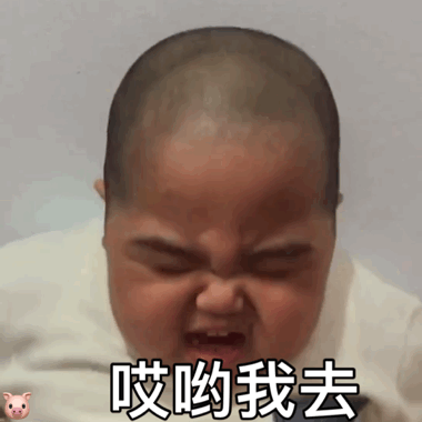 小胖子表情包这个小笨蛋在干嘛
