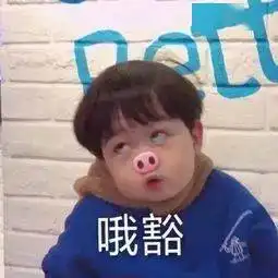托老乡帮孩子入学,厦门多名家长被骗所谓的上线竟是个
