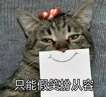 猫咪表情包15张我懂了,我就是你可有可无的网友

