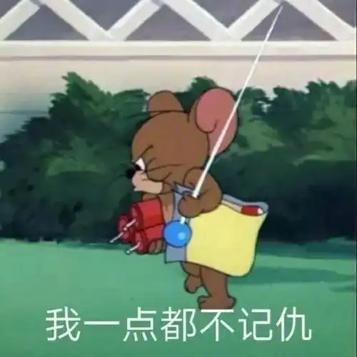 表情包我这个小老鼠看到了什么
