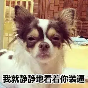 不得了啦高光家连狗都成表情包啦
