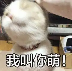 自截我变乖了,快来带我回家吧
