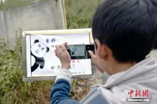 铁路宣传牌表情包什么样的
