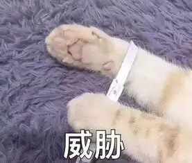 关晓彤是魔鬼吗和杨紫同框腿只有她13粗,这次又把腿精杨幂秒杀了
