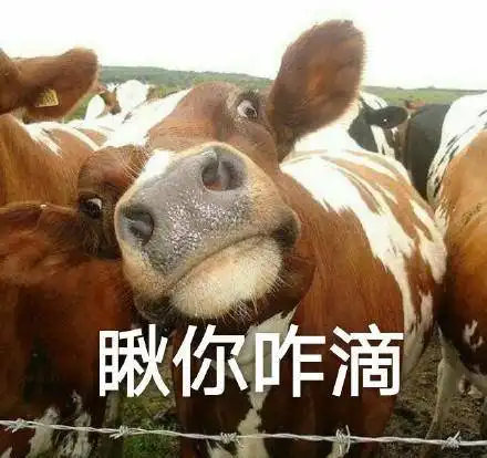 微信牛恶搞斗图表情包金馆长表情包
