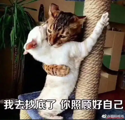 莫吵莫闹,该股两个利多的大事正在临近

