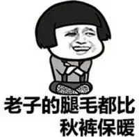 秋裤猫表情包
