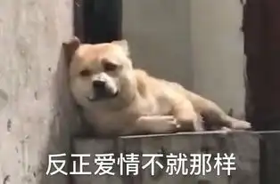 狗子表情包崽,你三叔四婶儿七舅姥爷都对你非常失望