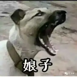 预约超67万这款将神话人物娘化的游戏又让我收获了一堆老婆
