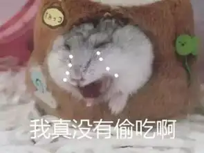 仓鼠偷吃零食不承认被罚后的表情太搞笑了
