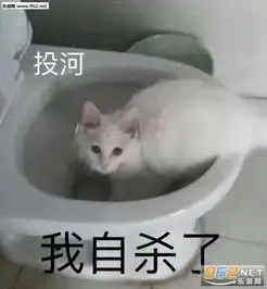 来自底层的仰望表情包被安排的明明白白表情包图片下载乐游网游戏下载
