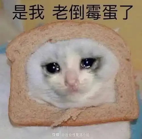 懒得去问饮料价格,亏了十块
