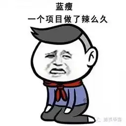 蓝瘦香菇之程序员版
