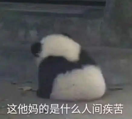 表情包和女朋友聊天表情包的正确打开方式
