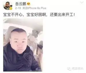 攻占表情包承包金句小岳岳的人生就是个段子
