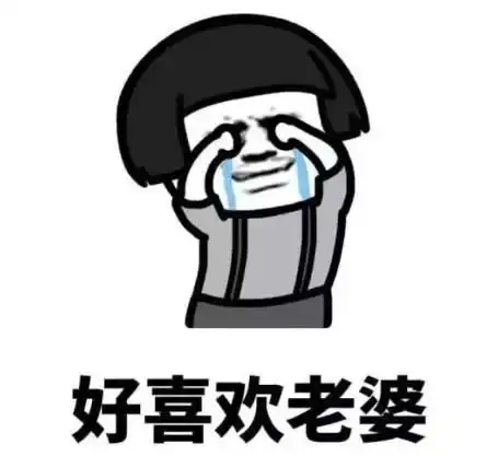 发给老婆的表情包合集老婆你说什么都是对的
