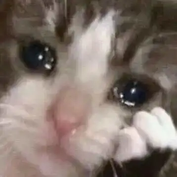 悲伤猫猫头表情包
