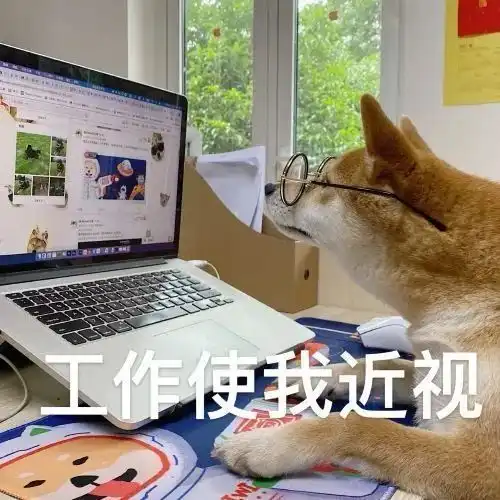 表情包你们玩吧我加班
