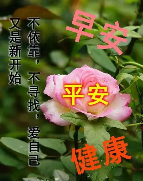 2021早上好暖心阳光句子,最美早上好温馨祝福表情图片
