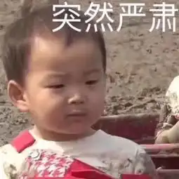 100个法考生,99个机考小白
