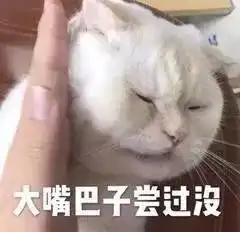 来一波搞笑表情包
