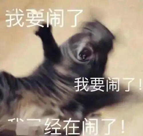 元旦假期养猪出栏计划结束,网友我想延长......
