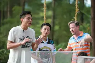 爸爸王宝强刘烨上演表情包大战
