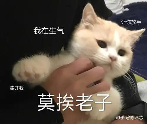 时间错过不会再来