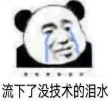 大过年的,总觉得有刁民想害朕
