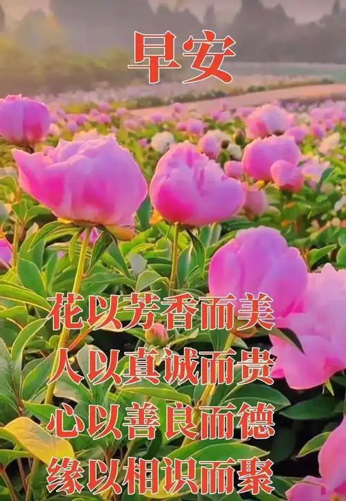 5月10号夏天吉祥快乐问候语加美图

