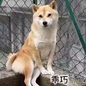 数千网友晒出第一次,从笑cry看到泪目