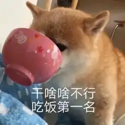 山师吐槽会国庆留校的千条理由

