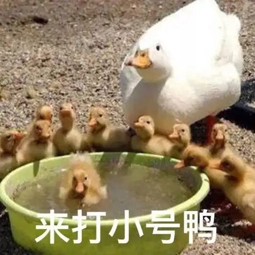 明人不说暗话,我很喜欢鸭
