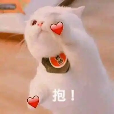 李姐讲笑话吧好久不看火影了