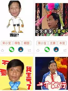 谁有宋小宝的微信动态表情包
