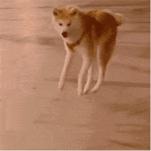 陈都灵的回眸一笑,大概就是被上帝吻过的模样
