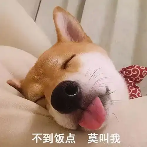 非深户在深圳缴纳社保,退休了就能在深圳领退休金吗
