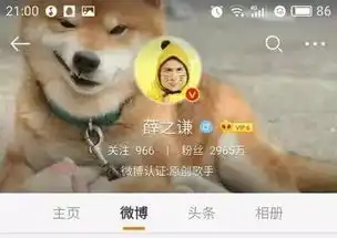 柴犬新晋表情帝爱我你怕了吗
