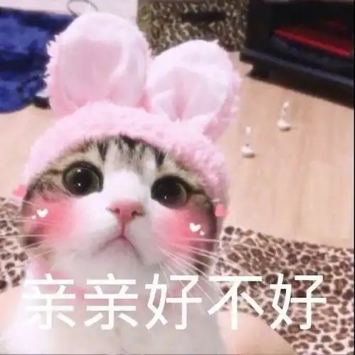 萌宠表情包亲亲好不好
