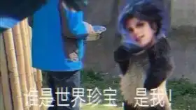 烦猫日常
